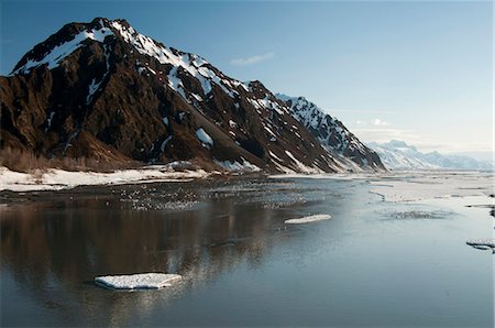 simsearch:854-03845950,k - Glace du printemps et des milliers de mouettes se rassemblent sur la rivière Copper près de la pointe de drapeau, forêt nationale de Chugach, Centre-Sud Alaska, printemps Photographie de stock - Rights-Managed, Code: 854-03846116