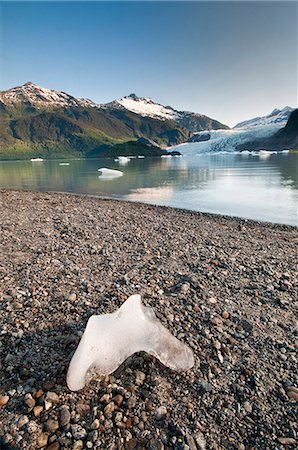simsearch:854-05974195,k - Scenic view of  icebergs floating in Mendenhall Lake with Mendenhall Glacier in the background, Tongass National Forest near Juneau, Southeast Alaska, Summer Foto de stock - Direito Controlado, Número: 854-03846125