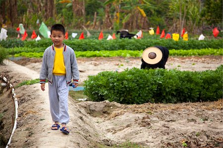 A young boy at the farmland, Kam Tin, New Territories, Hong Kong Stock Photo - Rights-Managed, Code: 855-05984175