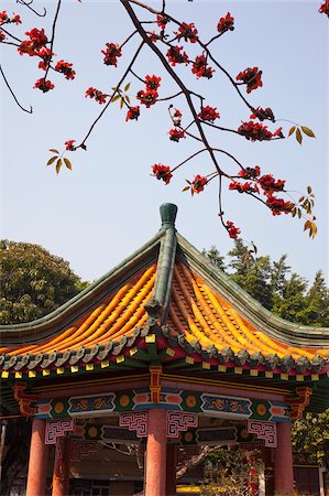 simsearch:855-05984603,k - Cotton tree blossom at Tsing Chung temple, New Territories, Hong Kong Stock Photo - Rights-Managed, Code: 855-05984284