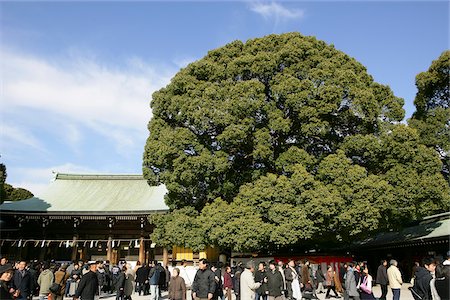 simsearch:855-05981022,k - Sanctuaire de Meiji, Tokyo, Japon Photographie de stock - Rights-Managed, Code: 855-05981018