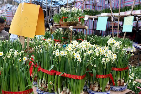 Chinese New Year flower market, Causeway Bay, Hong Kong Stock Photo - Rights-Managed, Code: 855-05981267