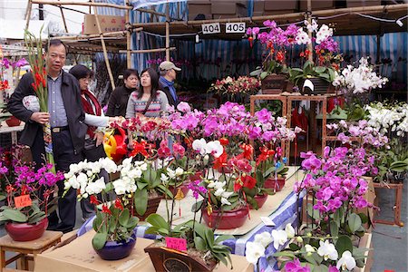 Chinese New Year flower market, Causeway Bay, Hong Kong Stock Photo - Rights-Managed, Code: 855-05981279