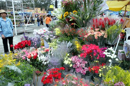 Chinese New Year flower market, Causeway Bay, Hong Kong Stock Photo - Rights-Managed, Code: 855-05981283