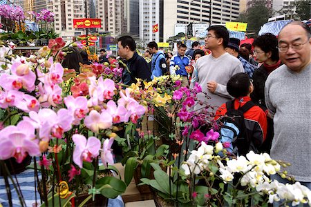People shopping at Chinese New Year flower market, Causeway Bay, Hong Kong Stock Photo - Rights-Managed, Code: 855-05981299