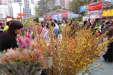 Chinese New Year flower market, Causeway Bay, Hong Kong Stock Photo - Rights-Managed, Code: 855-05981293