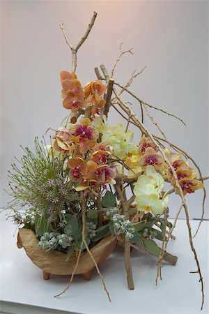 simsearch:855-05981557,k - Flower arrangement Stock Photo - Rights-Managed, Code: 855-05981515