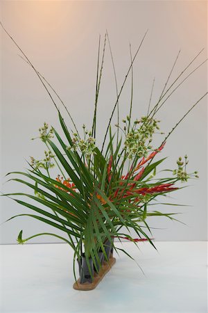 simsearch:855-05981557,k - Flower arrangement Stock Photo - Rights-Managed, Code: 855-05981520