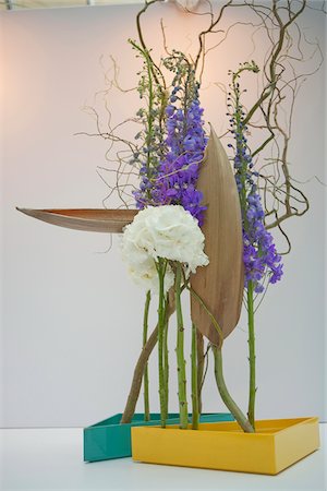 simsearch:855-05981557,k - Flower arrangement Stock Photo - Rights-Managed, Code: 855-05981577