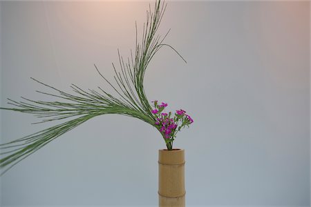 simsearch:855-05981557,k - Flower arrangement Stock Photo - Rights-Managed, Code: 855-05981586