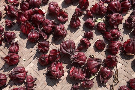 simsearch:855-05981732,k - Harvested roselle, Tolou Zhizelou, Gaobei village, Yongding, Fujian, China Stock Photo - Rights-Managed, Code: 855-05981793