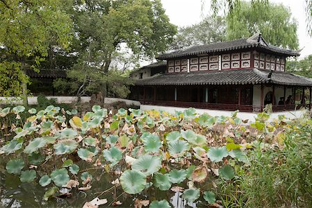 Humble administrators garden, Suzhou, Jiangsu Province, China Foto de stock - Con derechos protegidos, Código: 855-05982018