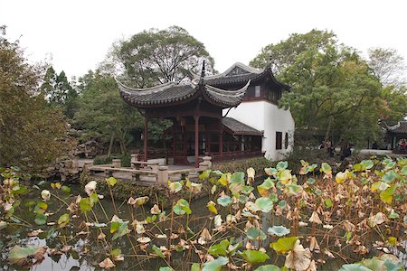 Humble administrators garden, Suzhou, Jiangsu Province, China Foto de stock - Con derechos protegidos, Código: 855-05982019