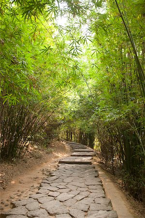 Bamboo alley to Yixiantian, Wuyi mountains, Fujian, China Stock Photo - Rights-Managed, Code: 855-05982382