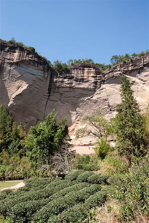 simsearch:855-05982454,k - Champs de thé à Shuilian Dong, Wuyi montagnes, Fujian, Chine Photographie de stock - Rights-Managed, Code: 855-05982456