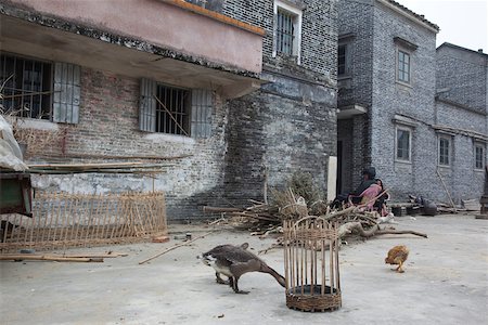 Jinjiangli village, Kaiping, Guangdong Province, China Stock Photo - Rights-Managed, Code: 855-05982862