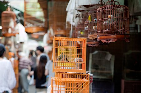 Yuen  Po Street bird garden, Mongkok, Hong Kong Foto de stock - Con derechos protegidos, Código: 855-05983361