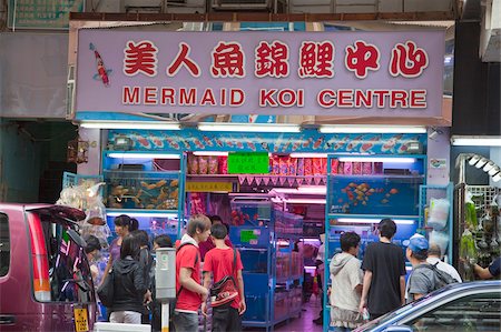 Aquarium street Tung Choi Street, Mongkok, Hong Kong Foto de stock - Con derechos protegidos, Código: 855-05983381