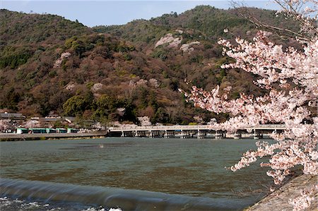 Fleurs de cerisier avec Togetsu-kyo pont, Arashiyama, Kyoto, Japon Photographie de stock - Rights-Managed, Code: 855-06022619