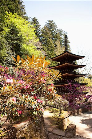 photographs japan temple flowers - Rhododendrom et la pagode, Muro-ji temple, préfecture de Nara, Japon Photographie de stock - Rights-Managed, Code: 855-06022835