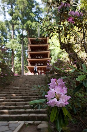 photographs japan temple flowers - Rhododendrom et la pagode, Muro-ji temple, préfecture de Nara, Japon Photographie de stock - Rights-Managed, Code: 855-06022833