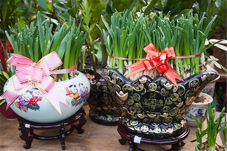 Narcissus, flower market, Hong Kong Stock Photo - Rights-Managed, Code: 855-06314026