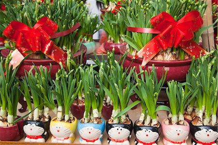 Narcissus, flower market, Hong Kong Stock Photo - Rights-Managed, Code: 855-06314023