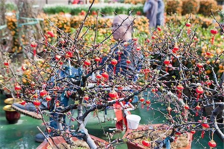 Peach flowers, flower market, Hong Kong Stock Photo - Rights-Managed, Code: 855-06314050