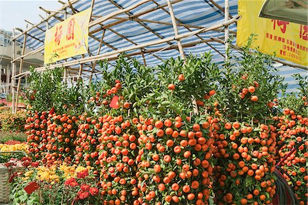 simsearch:855-06314053,k - Mandarin orange, flower market, Hong Kong Foto de stock - Direito Controlado, Número: 855-06314053