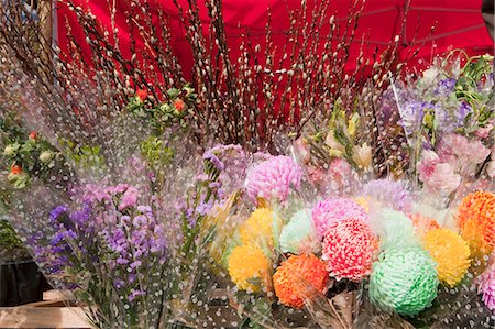 simsearch:855-06314053,k - Assorted flowers displaying at the  flower market, Tsuen Wan,  Hong Kong Foto de stock - Direito Controlado, Número: 855-06314087