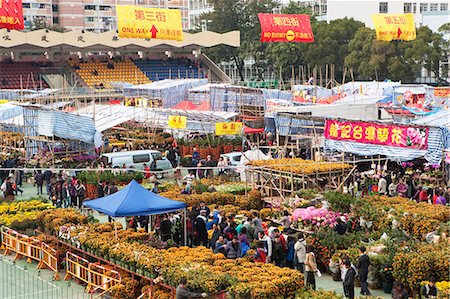 Chinese new year flower market, Tsuen Wan, Hong Kong Foto de stock - Con derechos protegidos, Código: 855-06314116