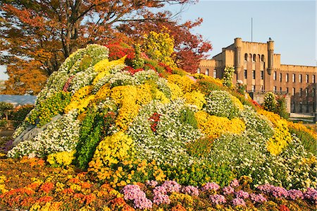 Blume-Display auf der Burg Ōsaka, Japan Stockbilder - Lizenzpflichtiges, Bildnummer: 855-06314285