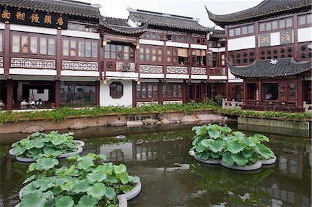 shanghai yuyuan - Lotus pond at Yuyuan garden, Shanghai, China Stock Photo - Rights-Managed, Code: 855-06312147