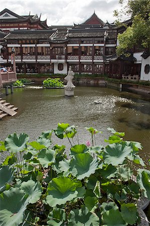 shanghai yuyuan - Lotus pond at Yuyuan garden, Shanghai, China Stock Photo - Rights-Managed, Code: 855-06312141