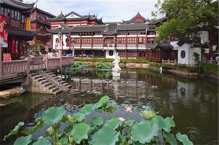 shanghai yuyuan - Lotus pond at Yuyuan garden, Shanghai, China Stock Photo - Rights-Managed, Code: 855-06312154
