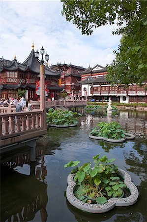 shanghai yuyuan - Lotus pond at Yuyuan garden, Shanghai, China Stock Photo - Rights-Managed, Code: 855-06312155