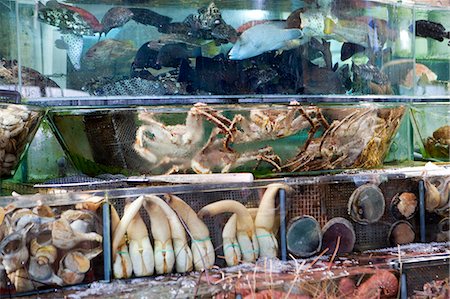 simsearch:855-06312671,k - Shop of seafood at Sai Kung, Hong Kong Fotografie stock - Rights-Managed, Codice: 855-06312608
