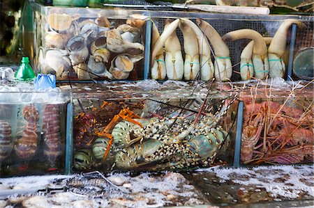simsearch:855-06312628,k - Shop von Meeresfrüchten in Sai Kung, Hong Kong Stockbilder - Lizenzpflichtiges, Bildnummer: 855-06312609
