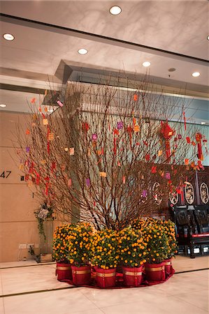 simsearch:855-06312683,k - Peach flowers and citrus fruits displayed at The Harbourside lobby celebrating the Chinese New Year, Hong Kong Stock Photo - Rights-Managed, Code: 855-06312674