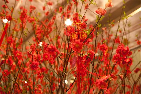 simsearch:855-06312683,k - Peach flowers displayed at The Harbourside lobby celebrating the Chinese New Year, Hong Kong Stock Photo - Rights-Managed, Code: 855-06312679