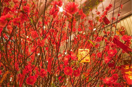 simsearch:855-06312683,k - Peach flowers displayed at The Harbourside lobby celebrating the Chinese New Year, Hong Kong Stock Photo - Rights-Managed, Code: 855-06312684