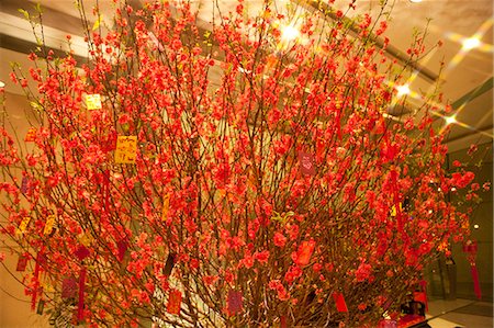 simsearch:855-06312683,k - Peach flowers displayed at The Harbourside lobby celebrating the Chinese New Year, Hong Kong Stock Photo - Rights-Managed, Code: 855-06312681