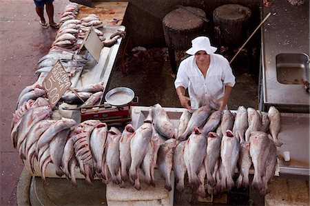 Fish stall in Ver p Peso Market, Belem, Amazonia, Brazil, South America Foto de stock - Direito Controlado, Número: 855-06313190