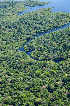 Aerial view of Amazon jungle and Amazon River, Brazil Foto de stock - Direito Controlado, Número: 855-06313245
