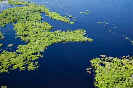 Vue aérienne de la jungle amazonienne et le fleuve Amazone, Brésil Photographie de stock - Rights-Managed, Code: 855-06313249