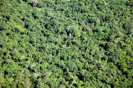 Vue aérienne de la jungle amazonienne, Brésil Photographie de stock - Rights-Managed, Code: 855-06313240