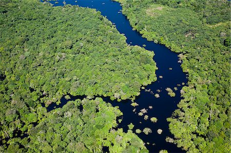 Vue aérienne de la jungle amazonienne et le fleuve Amazone, Brésil Photographie de stock - Rights-Managed, Code: 855-06313243