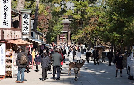 deer sign - Approach to Daikegon-ji (Todaiji temple), Nara, Japan Stock Photo - Rights-Managed, Code: 855-06337495