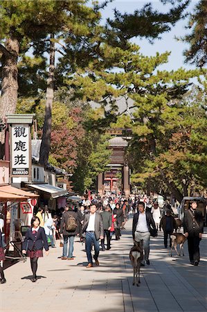 sign board animal - Approach to Daikegon-ji (Todaiji temple), Nara, Japan Stock Photo - Rights-Managed, Code: 855-06337496