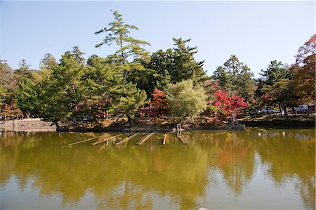 Jardin japonais de Todaiji temple, Nara, Japon Photographie de stock - Rights-Managed, Code: 855-06337506